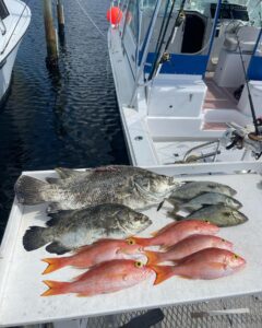 Snapper fishing Florida Keys